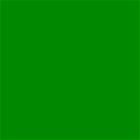 /StoreData/PageData/282/Green.jpg
