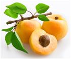 /StoreData/PageData/292/Apricot.jpg