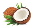 /StoreData/PageData/294/Coconut.jpg