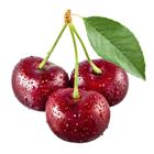 /StoreData/PageData/295/Cherry.jpg