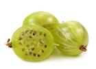 /StoreData/PageData/297/Gooseberry.jpg