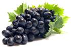 /StoreData/PageData/298/Grape.jpg