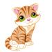 Từ vựng tiếng Anh chủ đề  ANIMAL