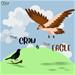 Truyện Song ngữ Việt  Anh THE EAGLE AND THE JACKDRAW  ĐẠI BÀNG VÀ QUẠ XÁM